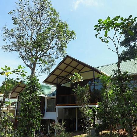 Coffee And Pepper Plantation Homestay Thekkady Exterior foto